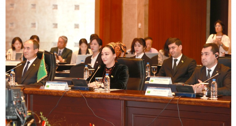 mqiXj7od8gqG6MqPlh2UIEOLD6MCm3-1500x800.jpg